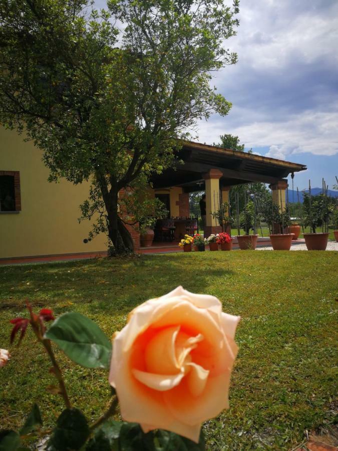 B&B La Fornace Del Sole Капанари Екстериор снимка